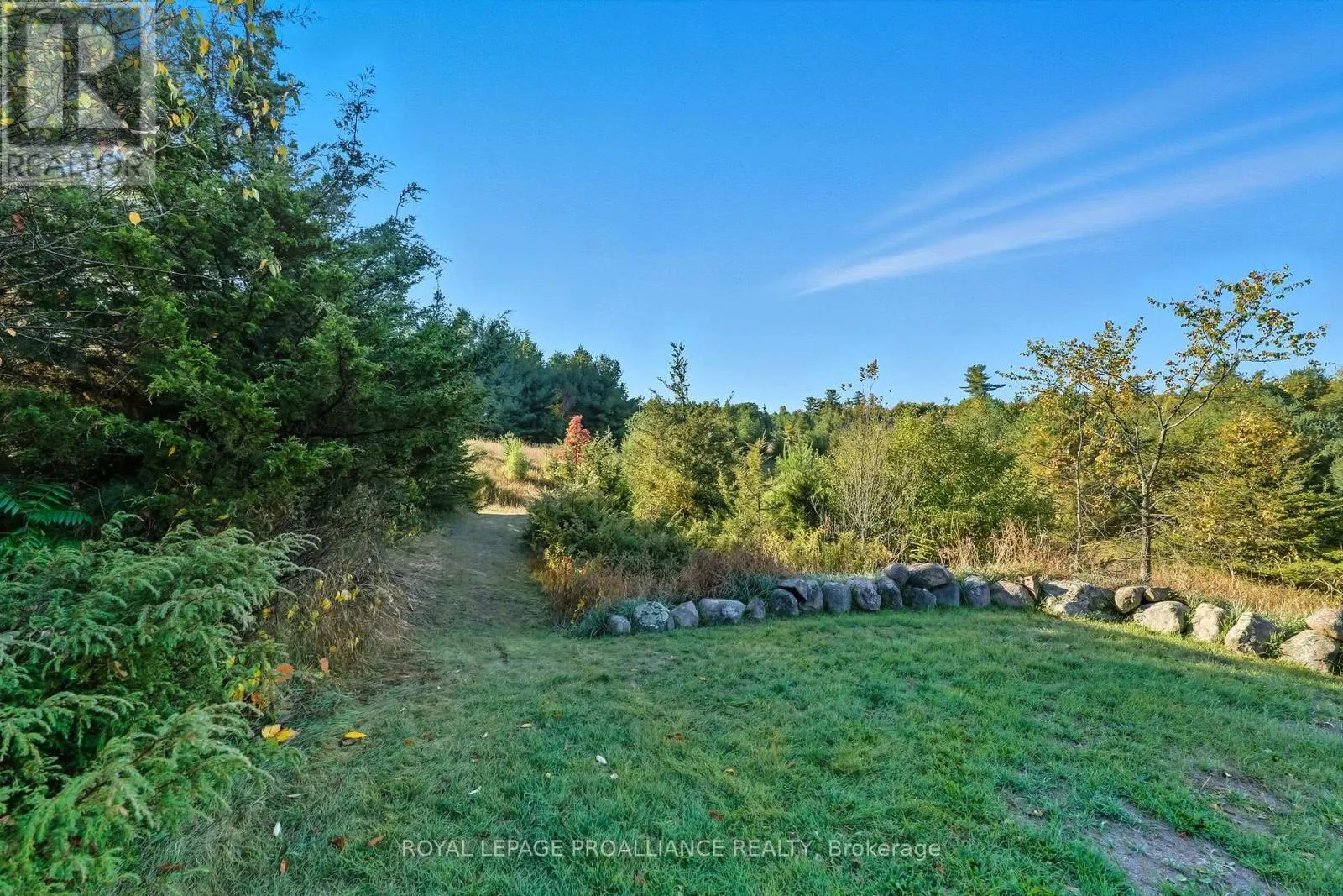 151 CARMAN ROAD