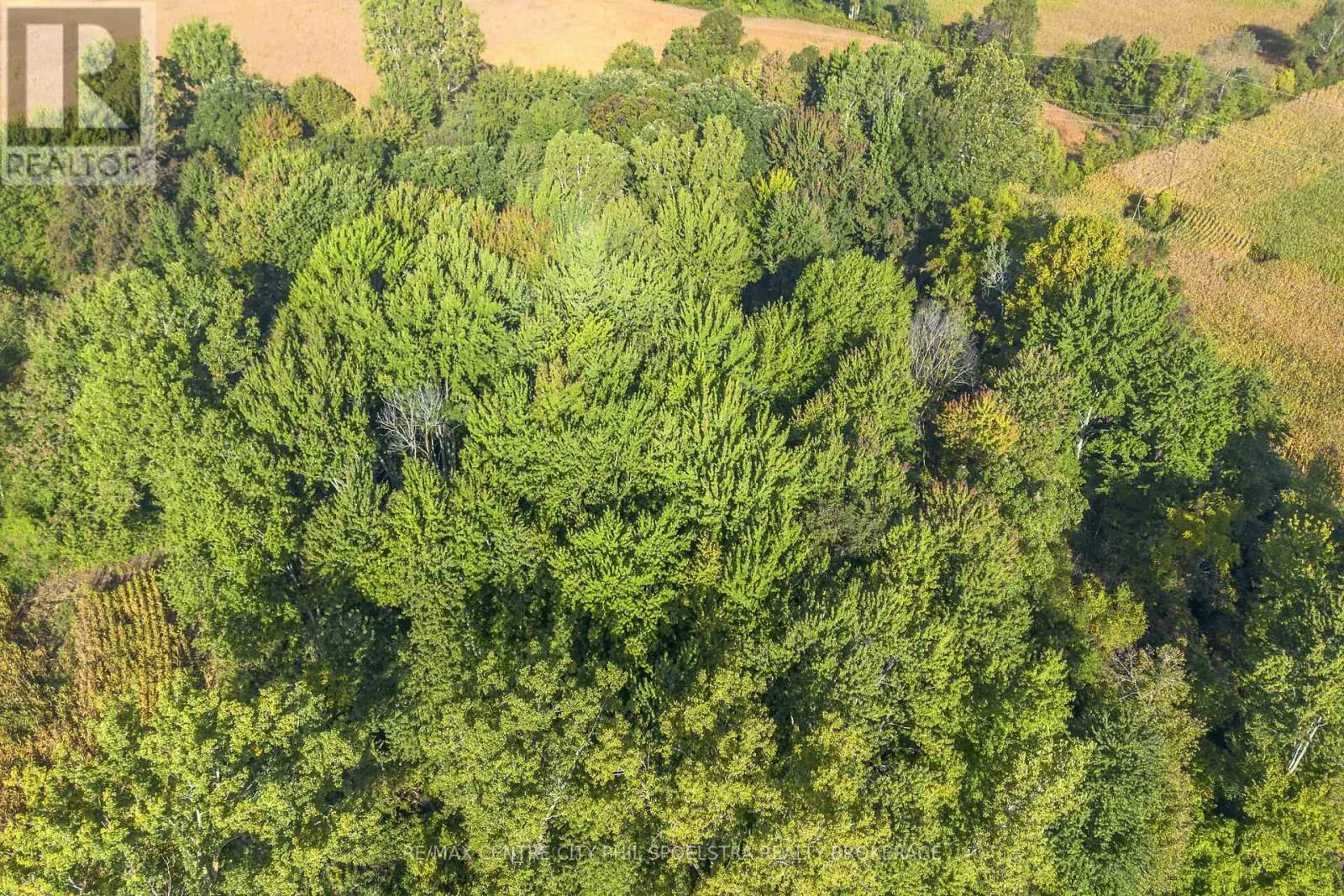 29182 ZONE 4 ROAD