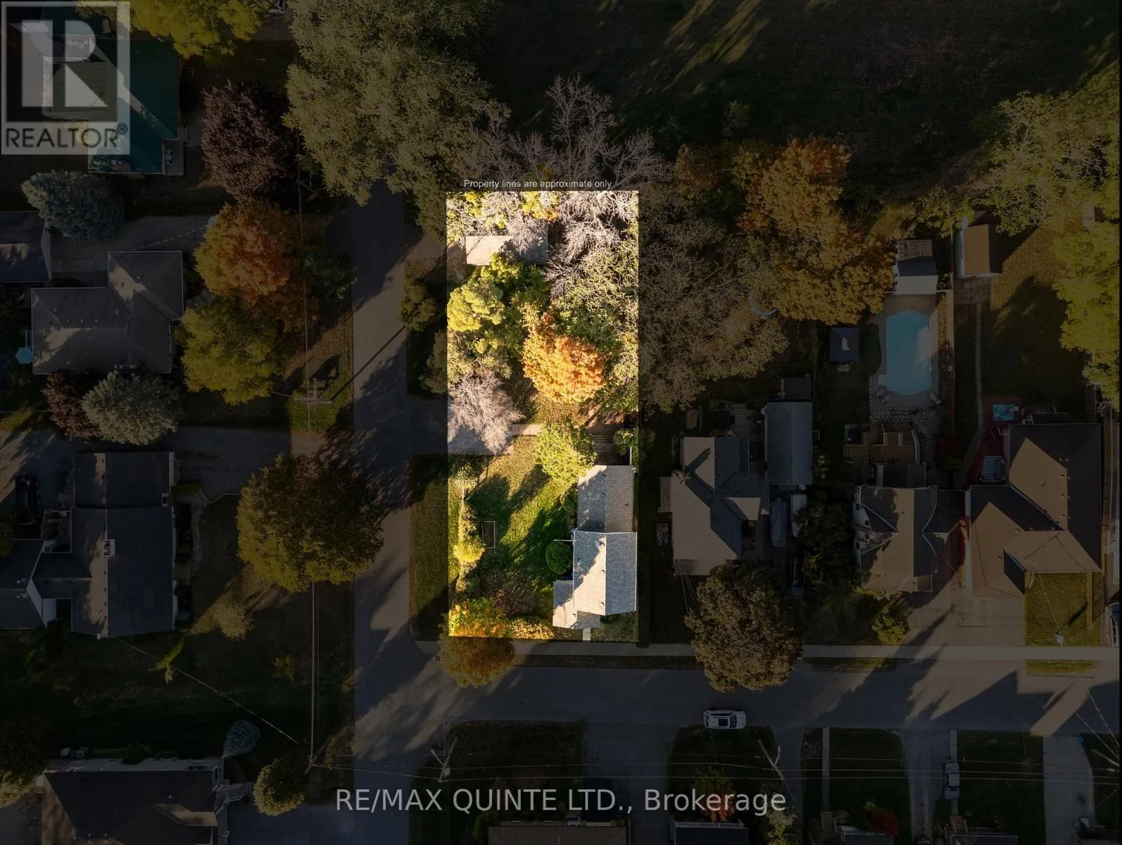 22 MAPLE AVENUE