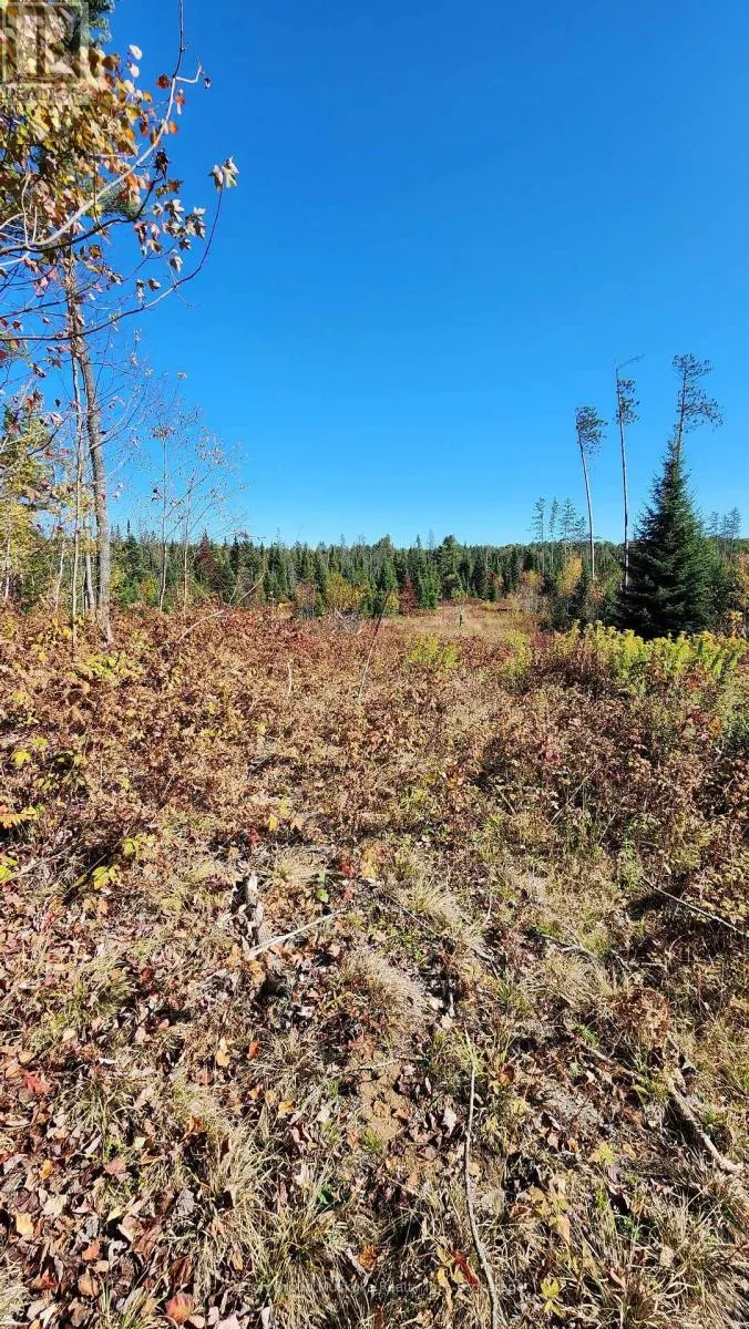 00 RED PINE TRAIL
