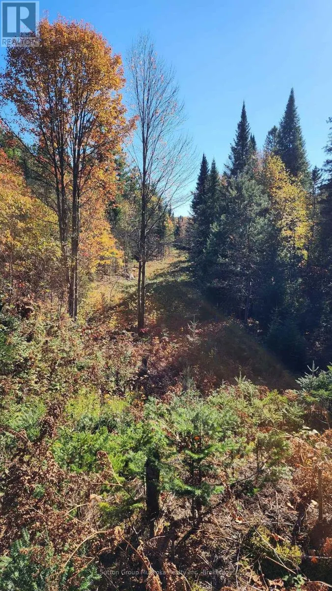 00 RED PINE TRAIL