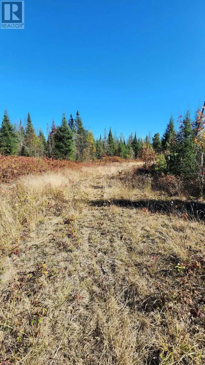 00 RED PINE TRAIL