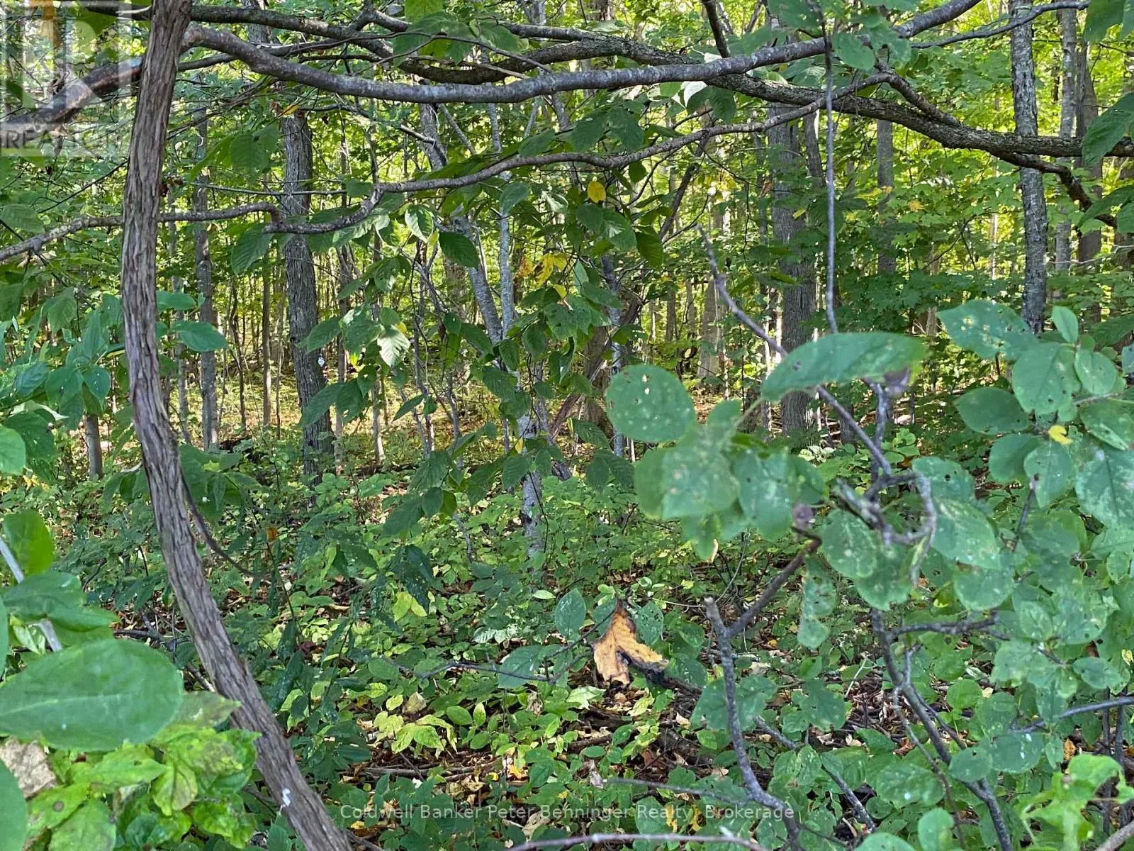 1315 CONCESSION 8 CONCESSION