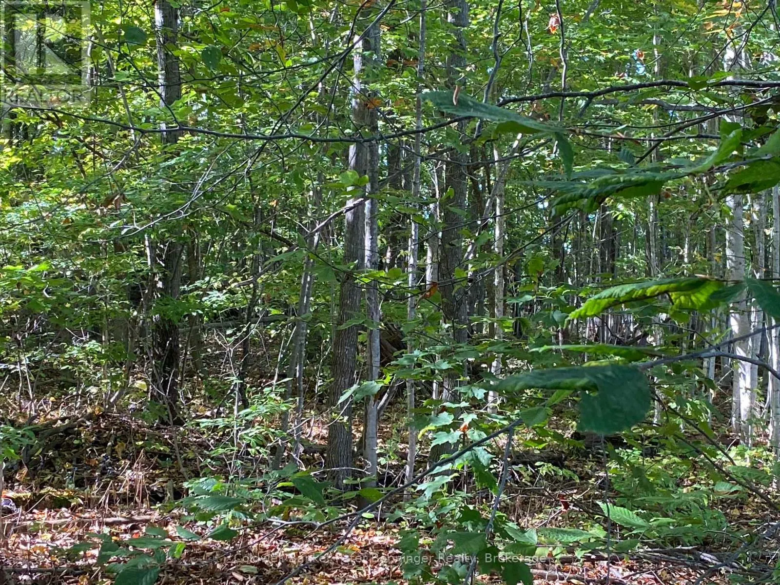 1315 CONCESSION 8 CONCESSION