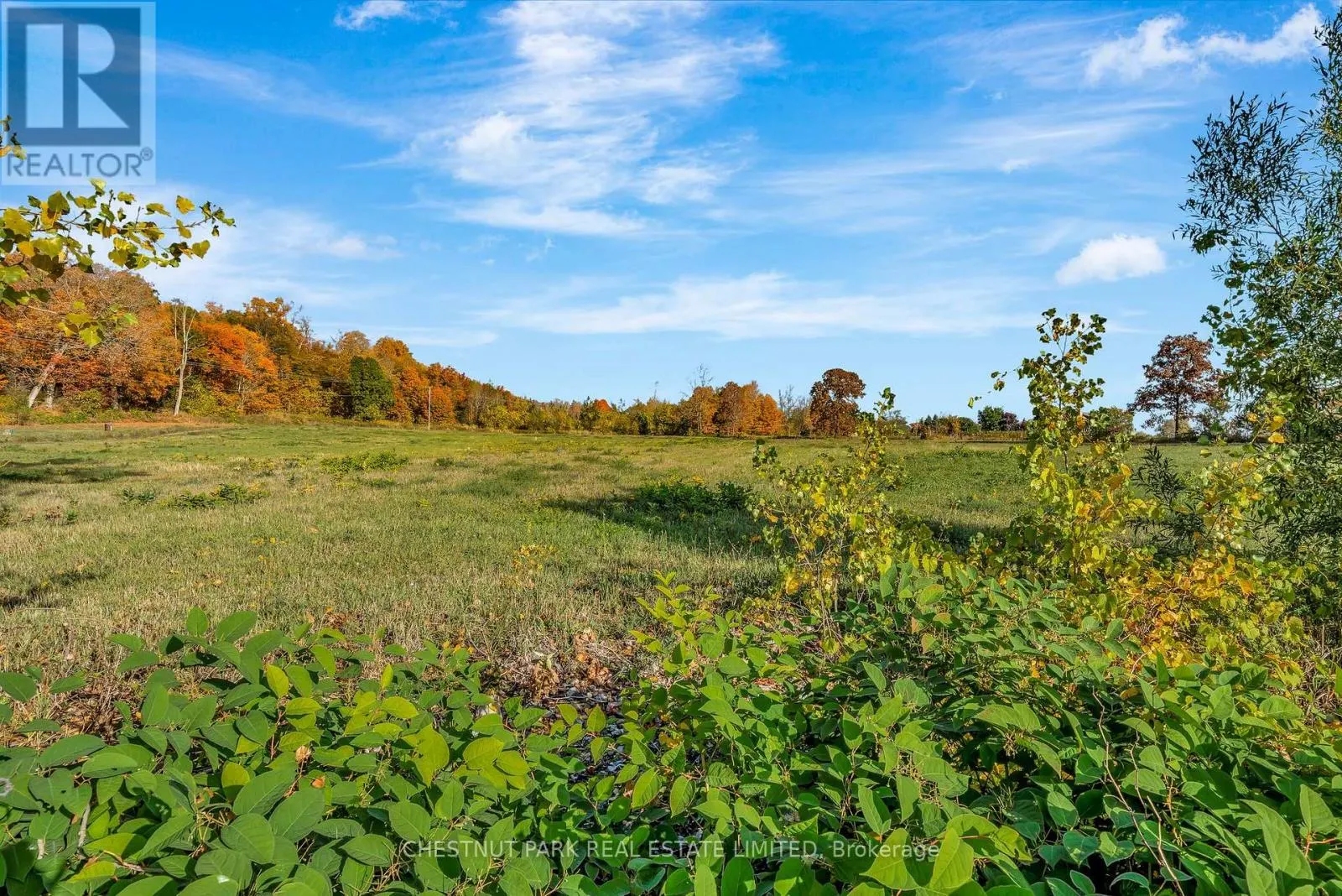 4176 COUNTY ROAD 8
