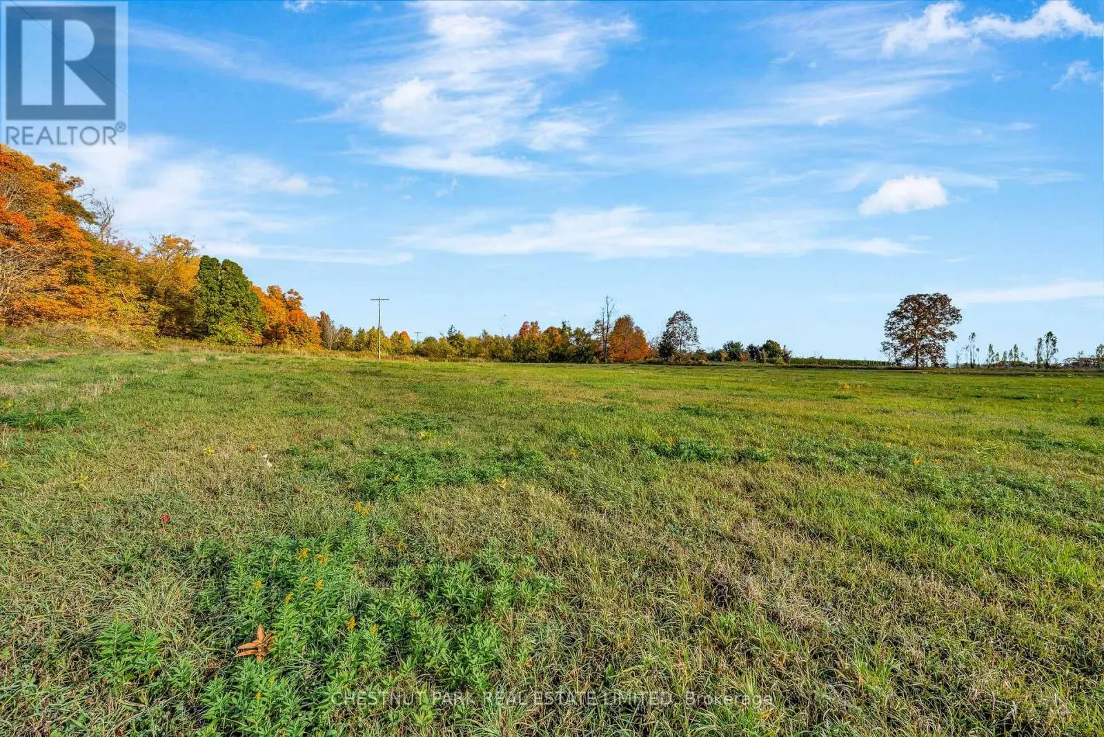 4176 COUNTY ROAD 8
