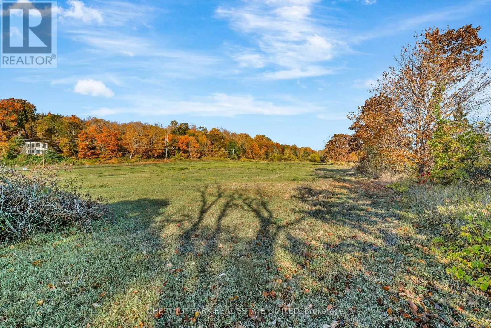 4176 COUNTY ROAD 8