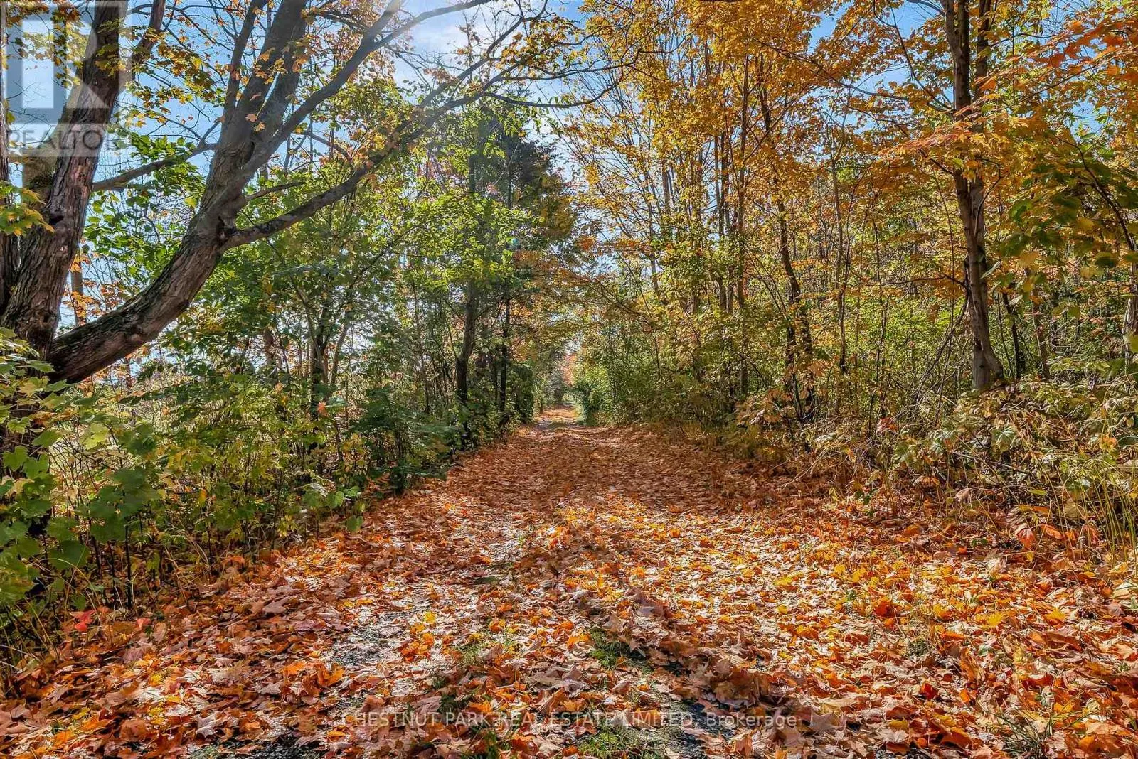 4176 COUNTY ROAD 8