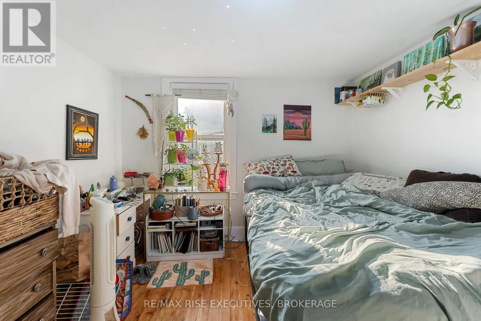 539 ALBERT STREET