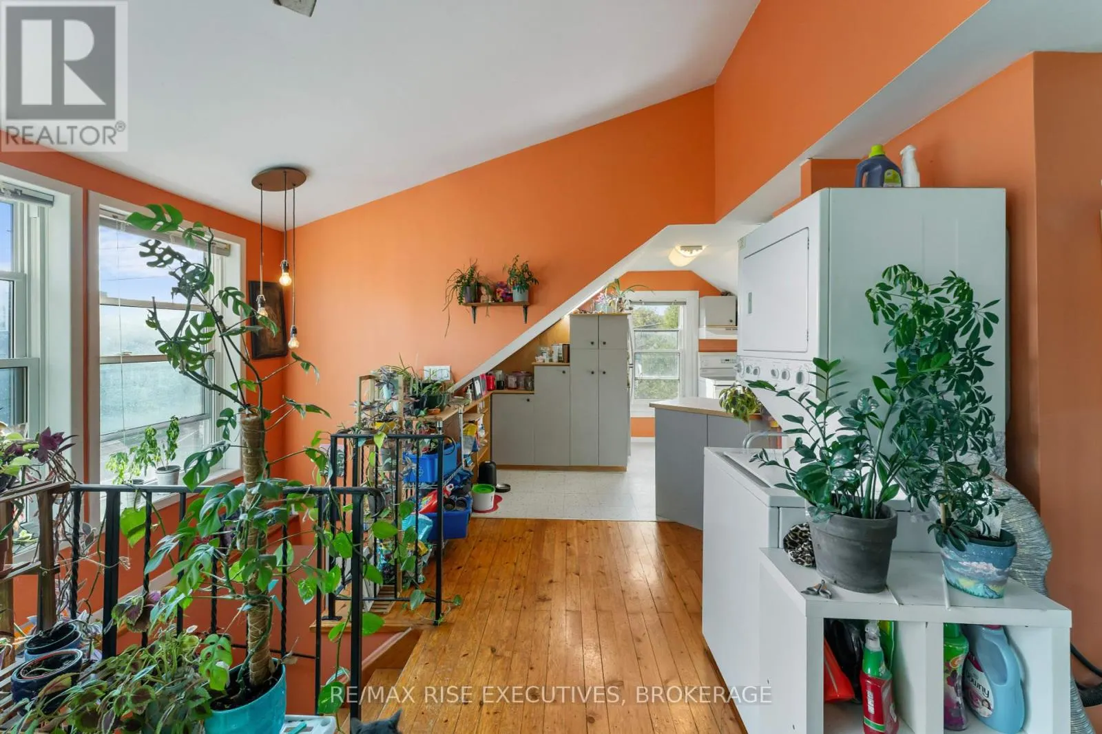 539 ALBERT STREET