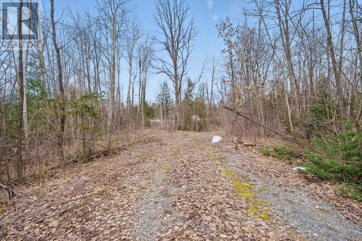 1219 DUNNING ROAD