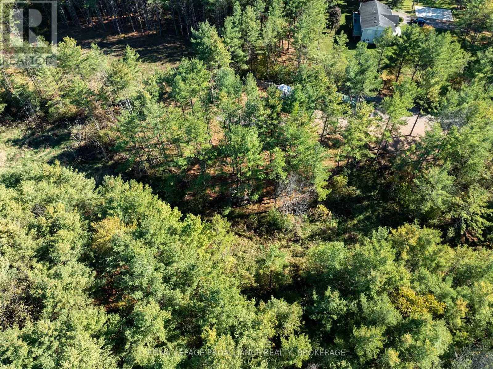 31 GUILD ROAD