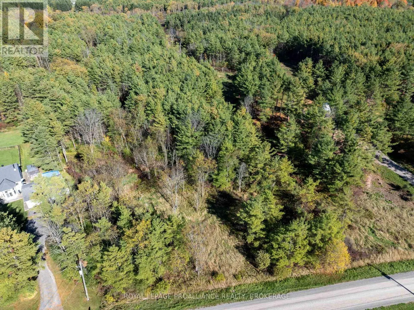 31 GUILD ROAD