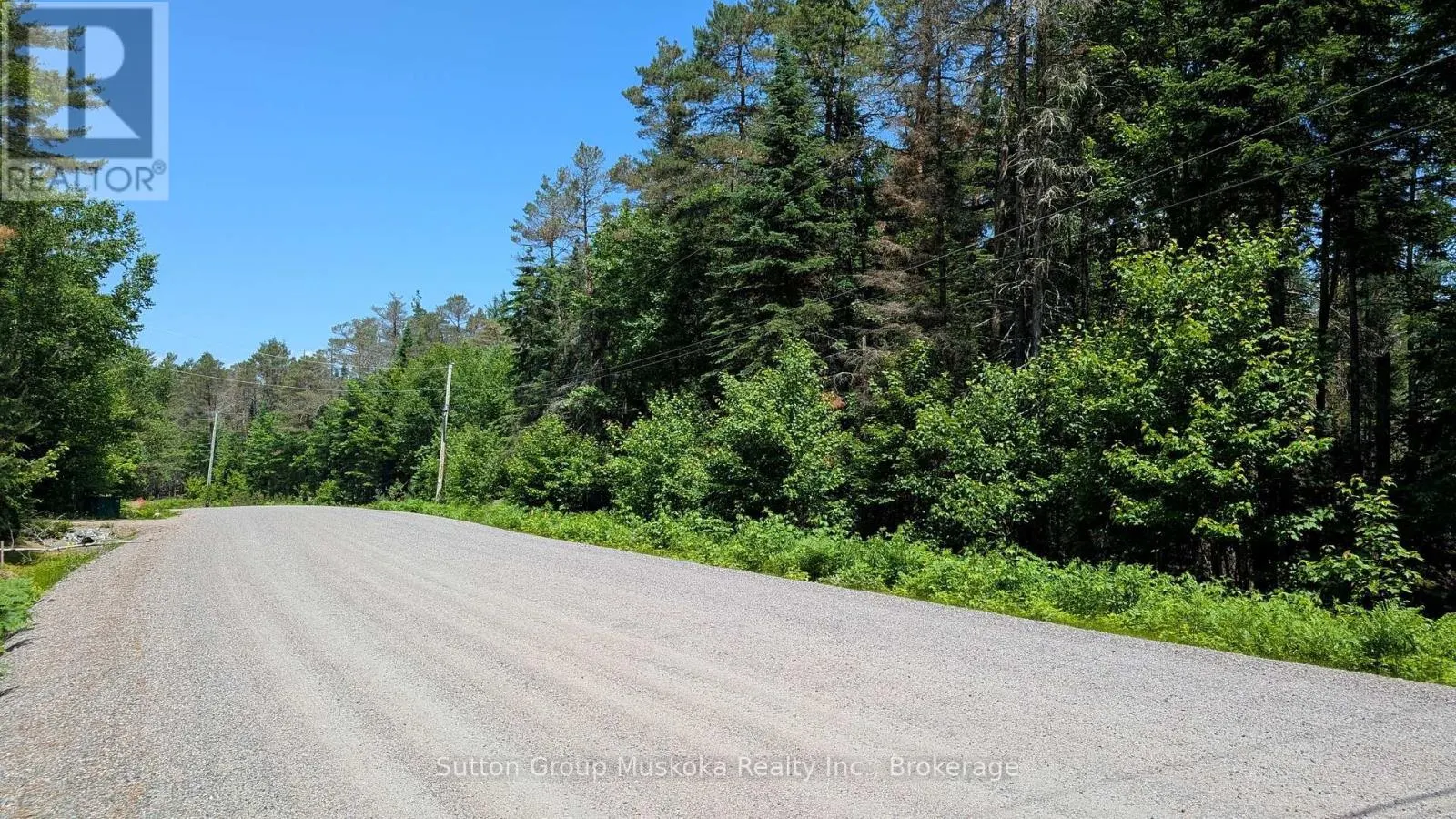 LOT 1 RED PINE TRAIL