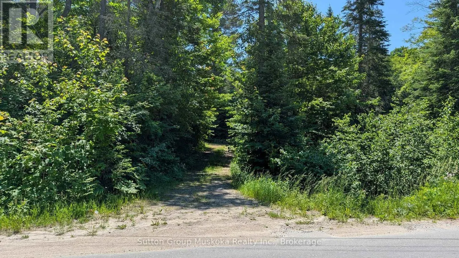LOT 1 RED PINE TRAIL
