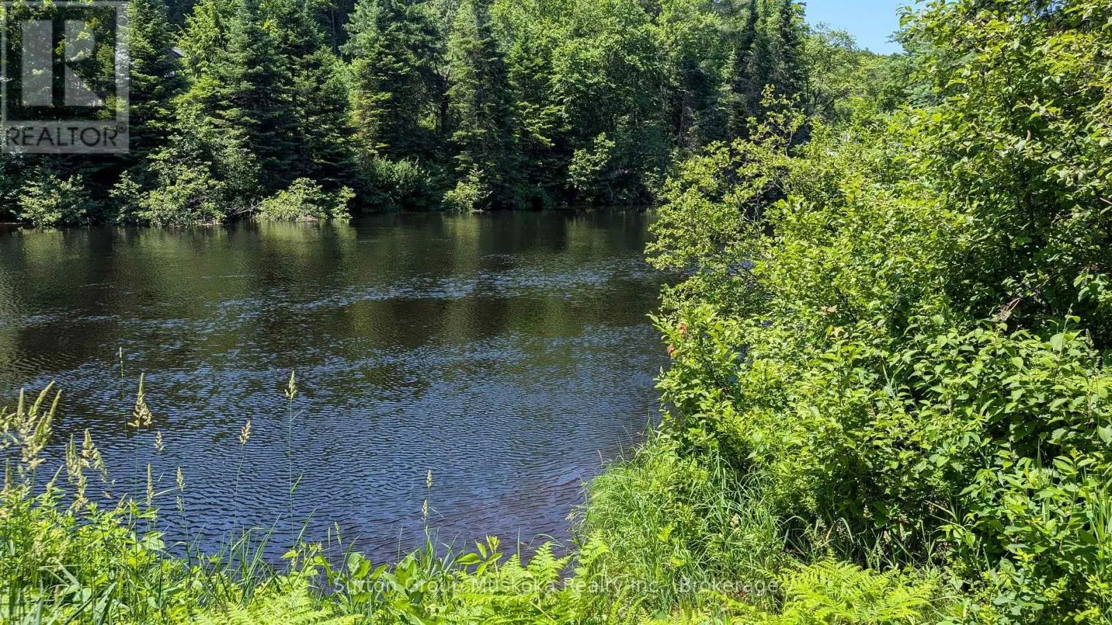 LOT 1 RED PINE TRAIL
