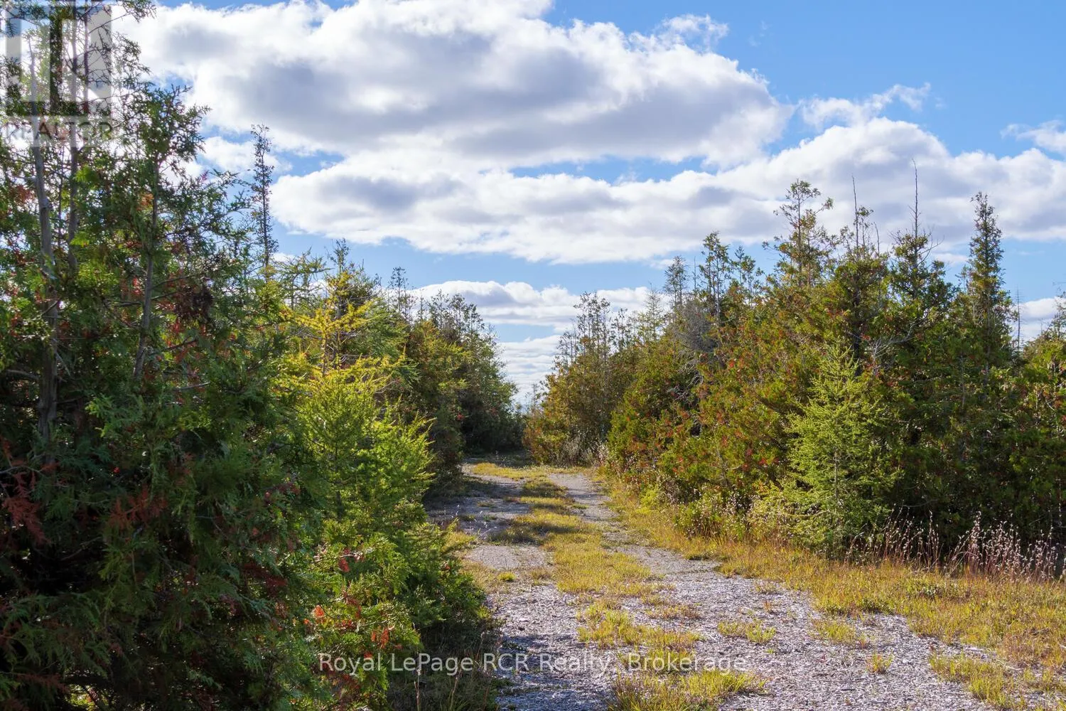 43 SADLER CREEK ROAD