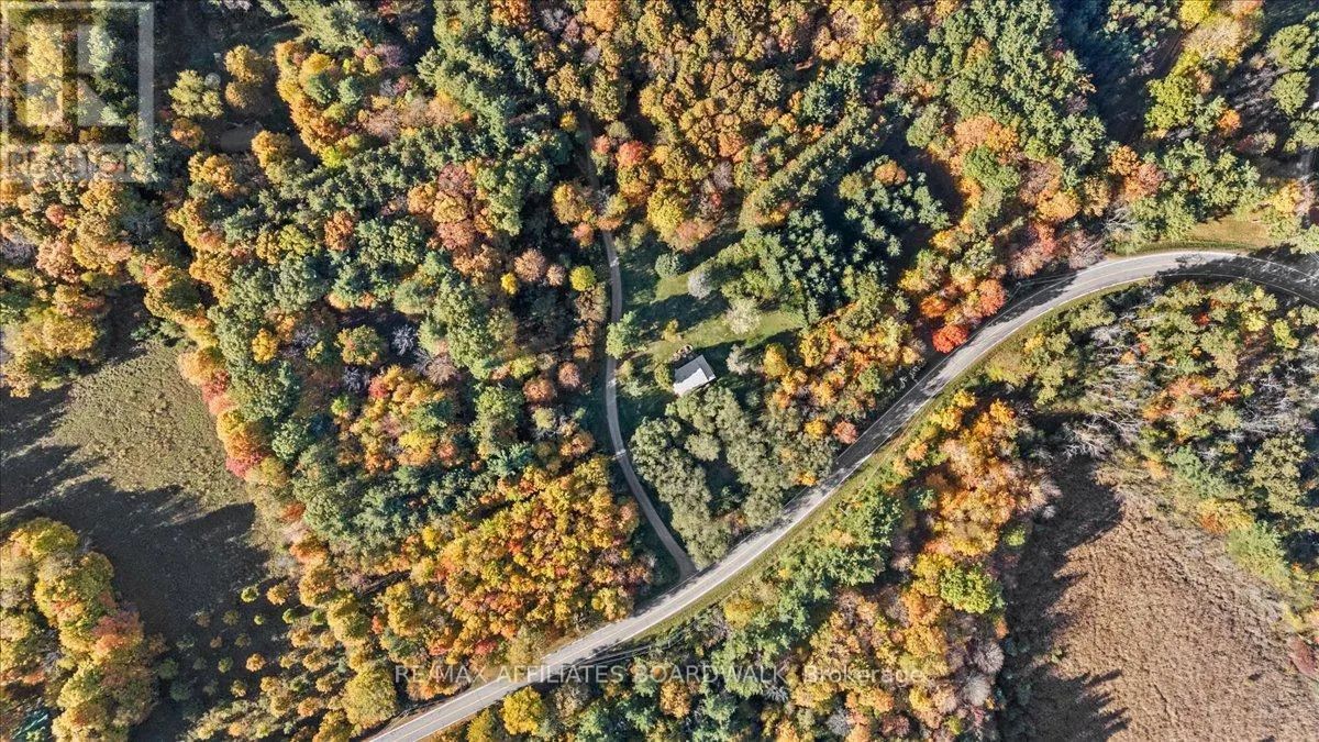 402 MP4 ROAD