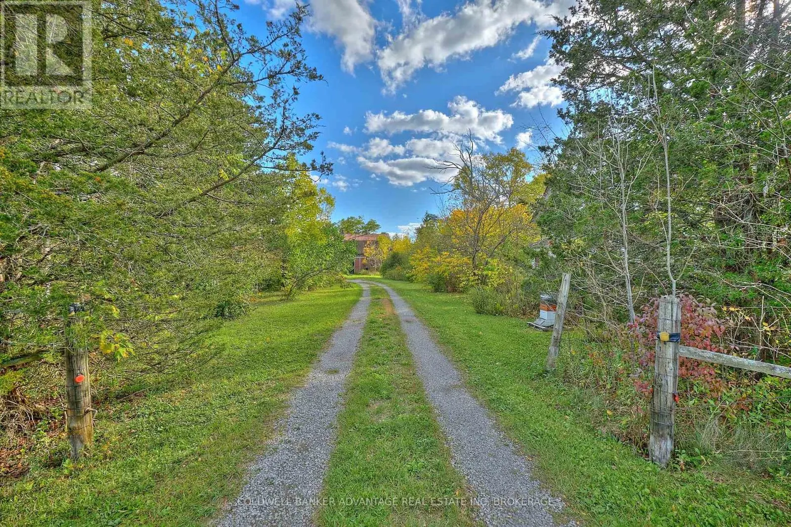 925 CARL ROAD