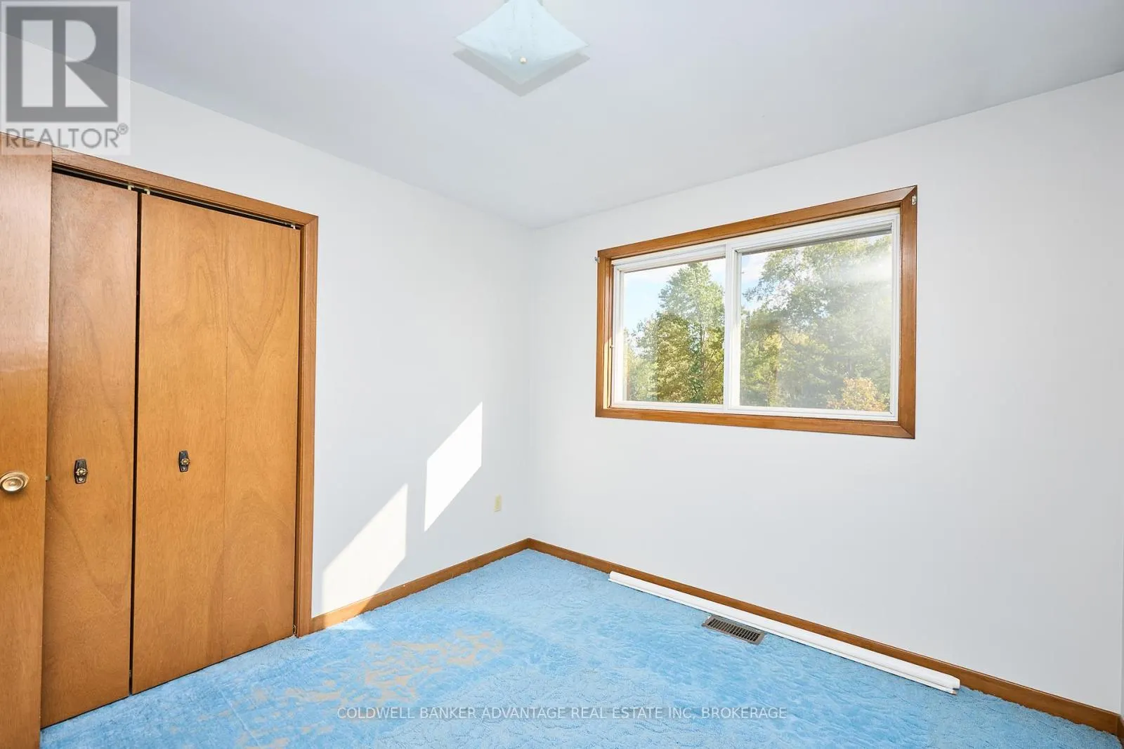 925 CARL ROAD
