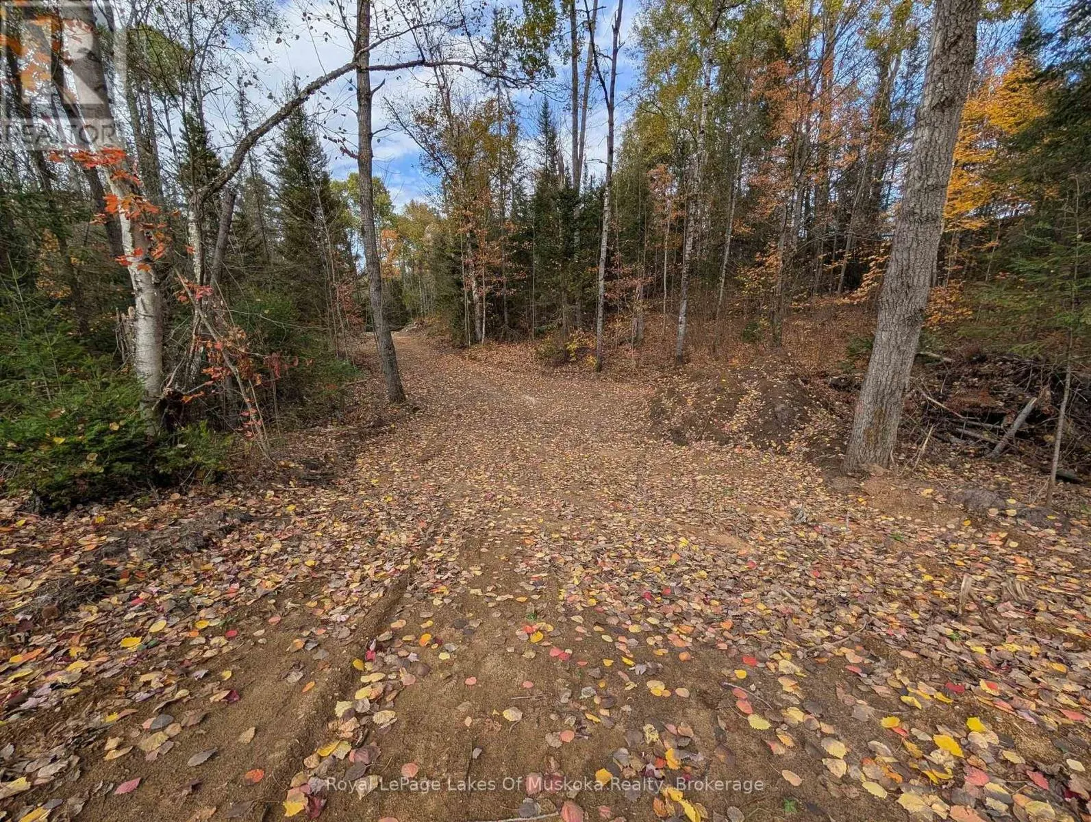 0 FOREST LAKE ROAD