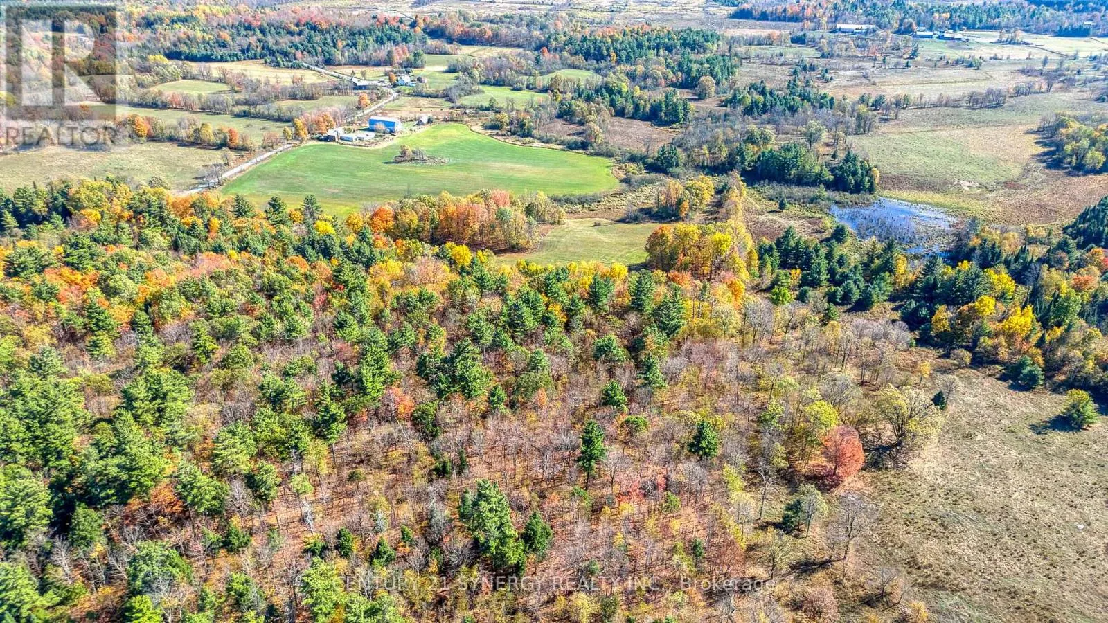 713 RUTHERFORD SIDE ROAD