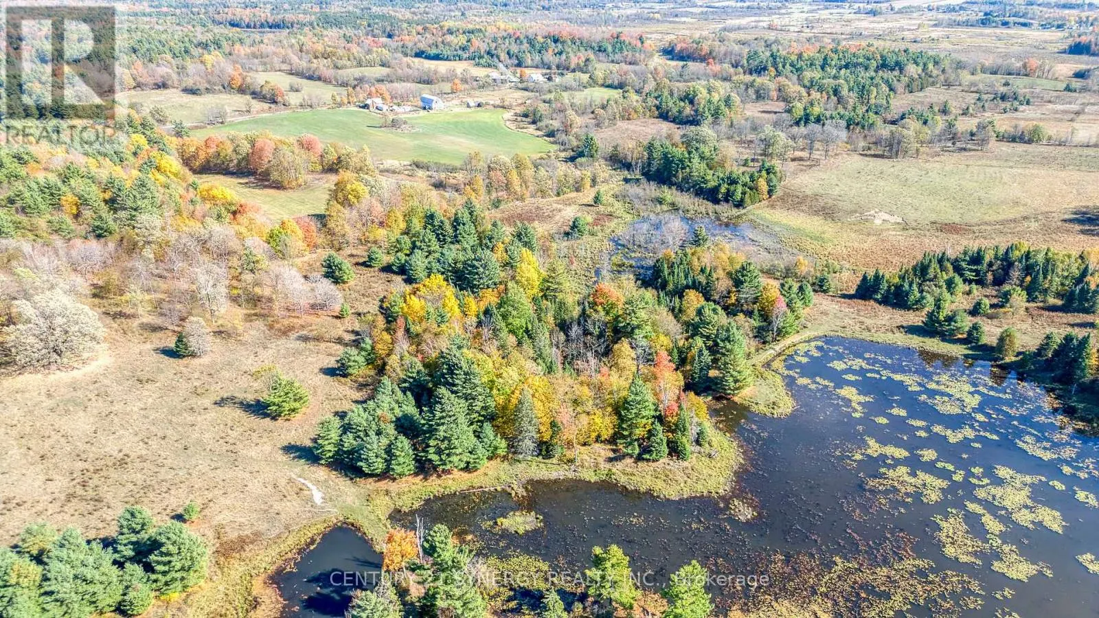 713 RUTHERFORD SIDE ROAD
