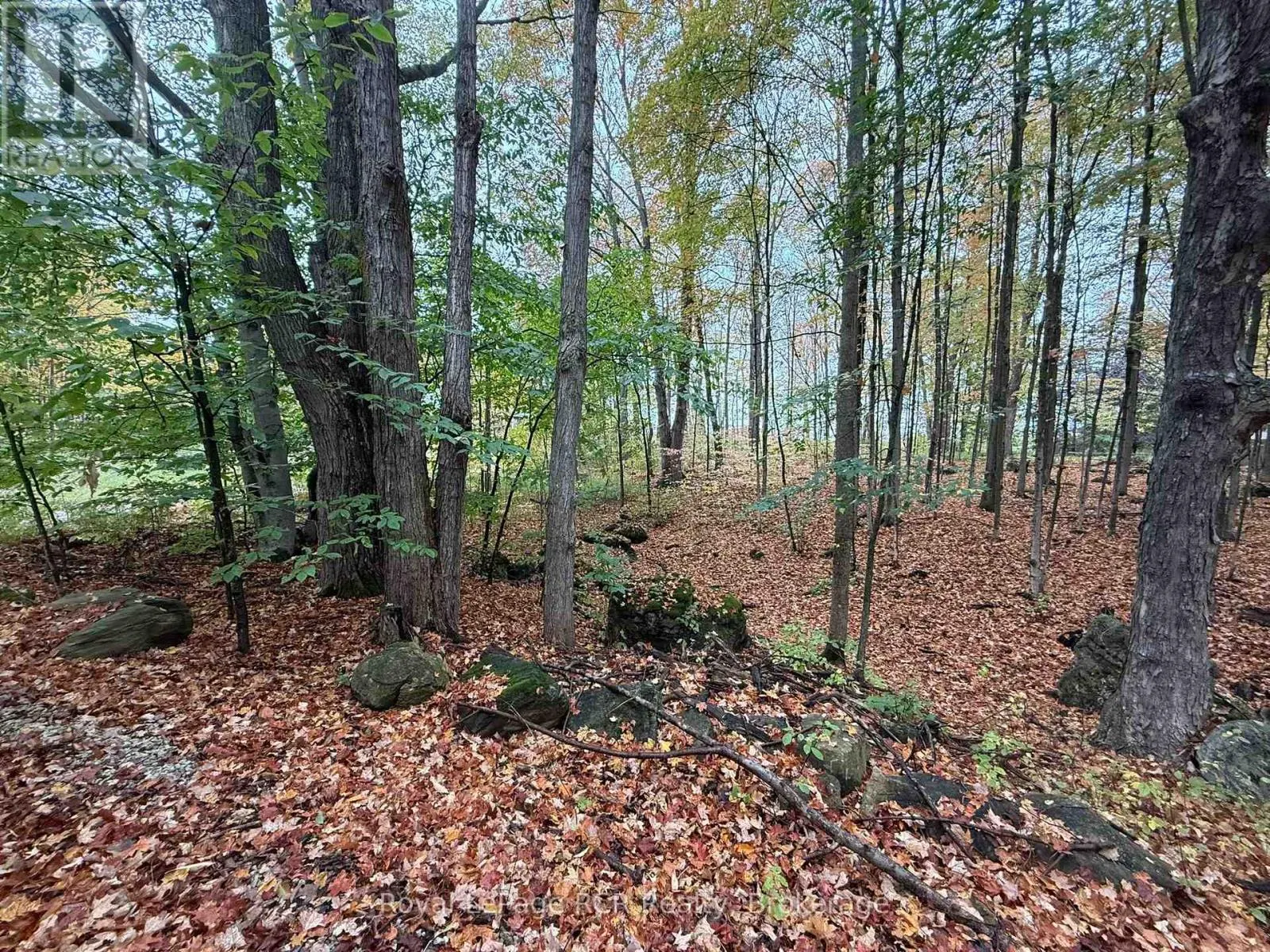 LOT 8 GREEN ACRES ROAD