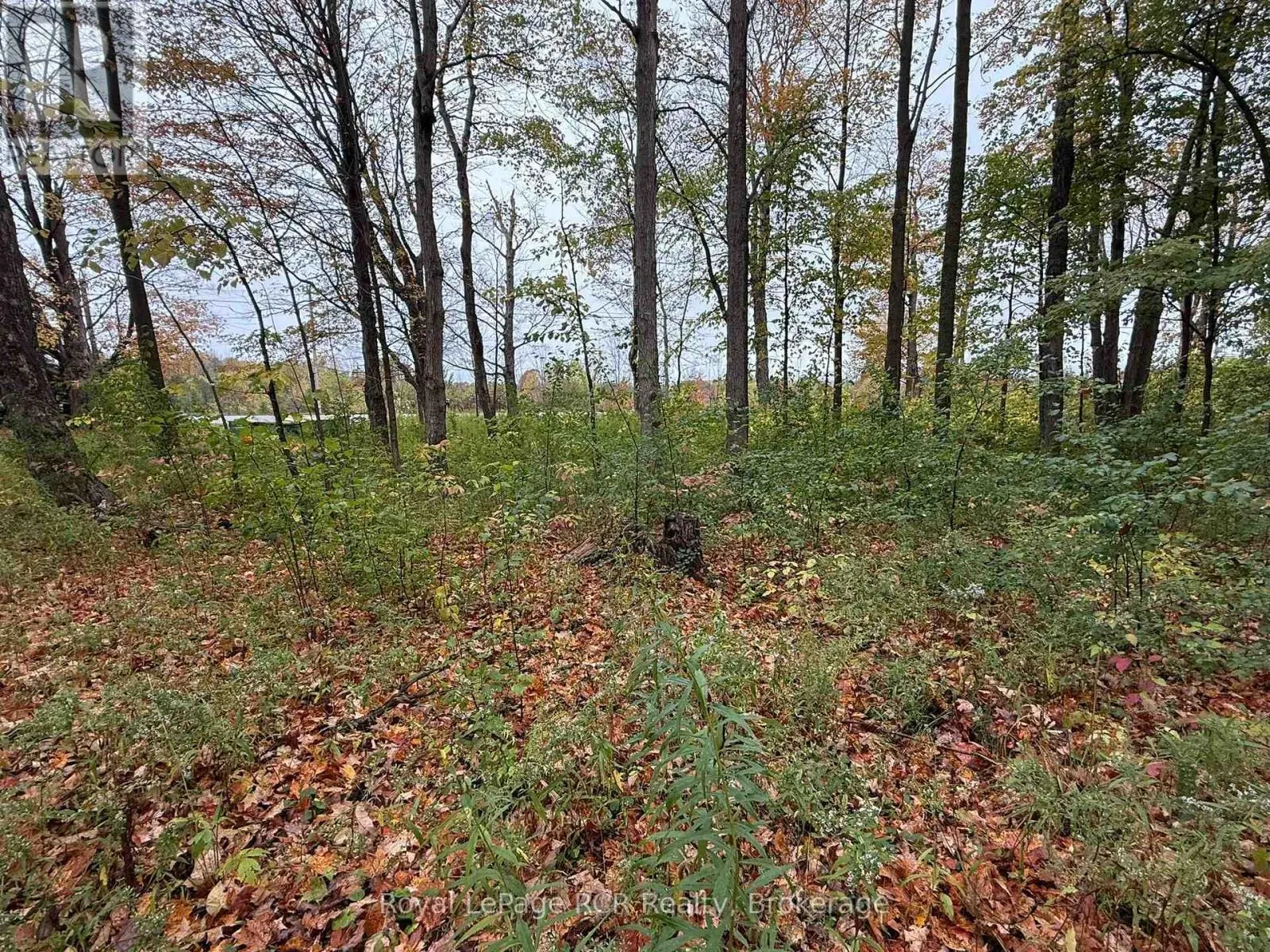 LOT 8 GREEN ACRES ROAD