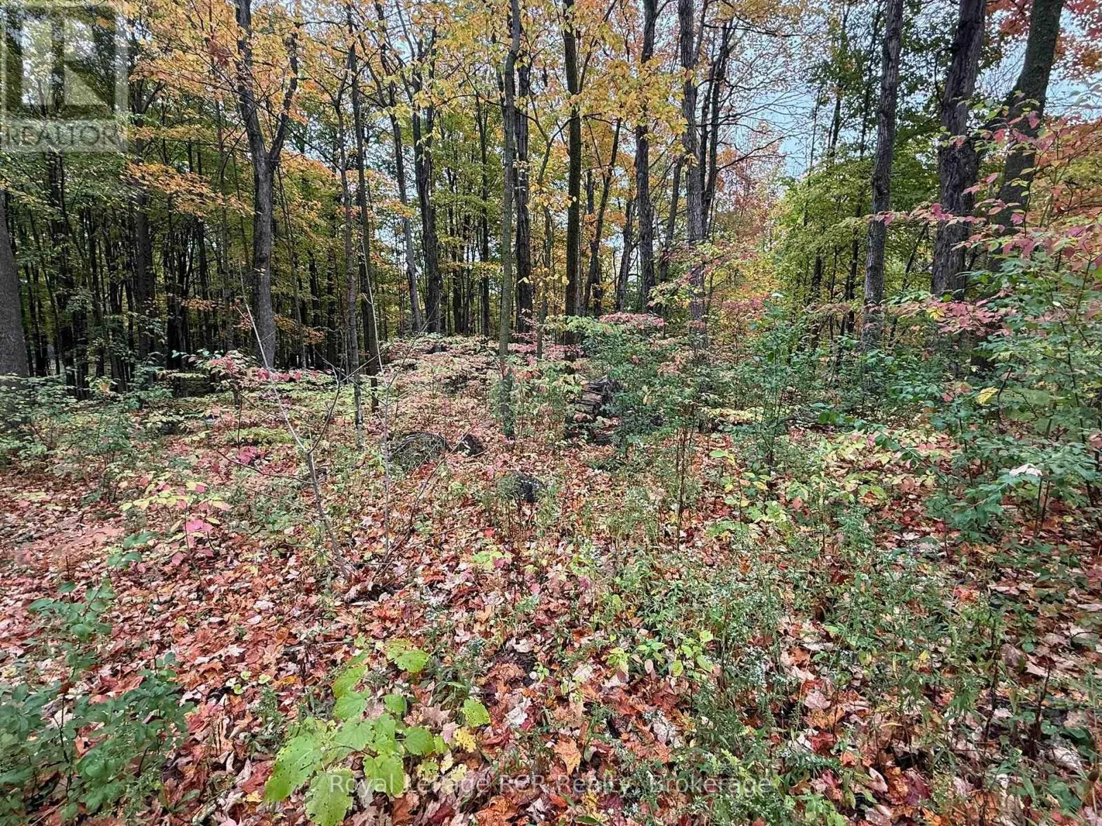 LOT 8 GREEN ACRES ROAD