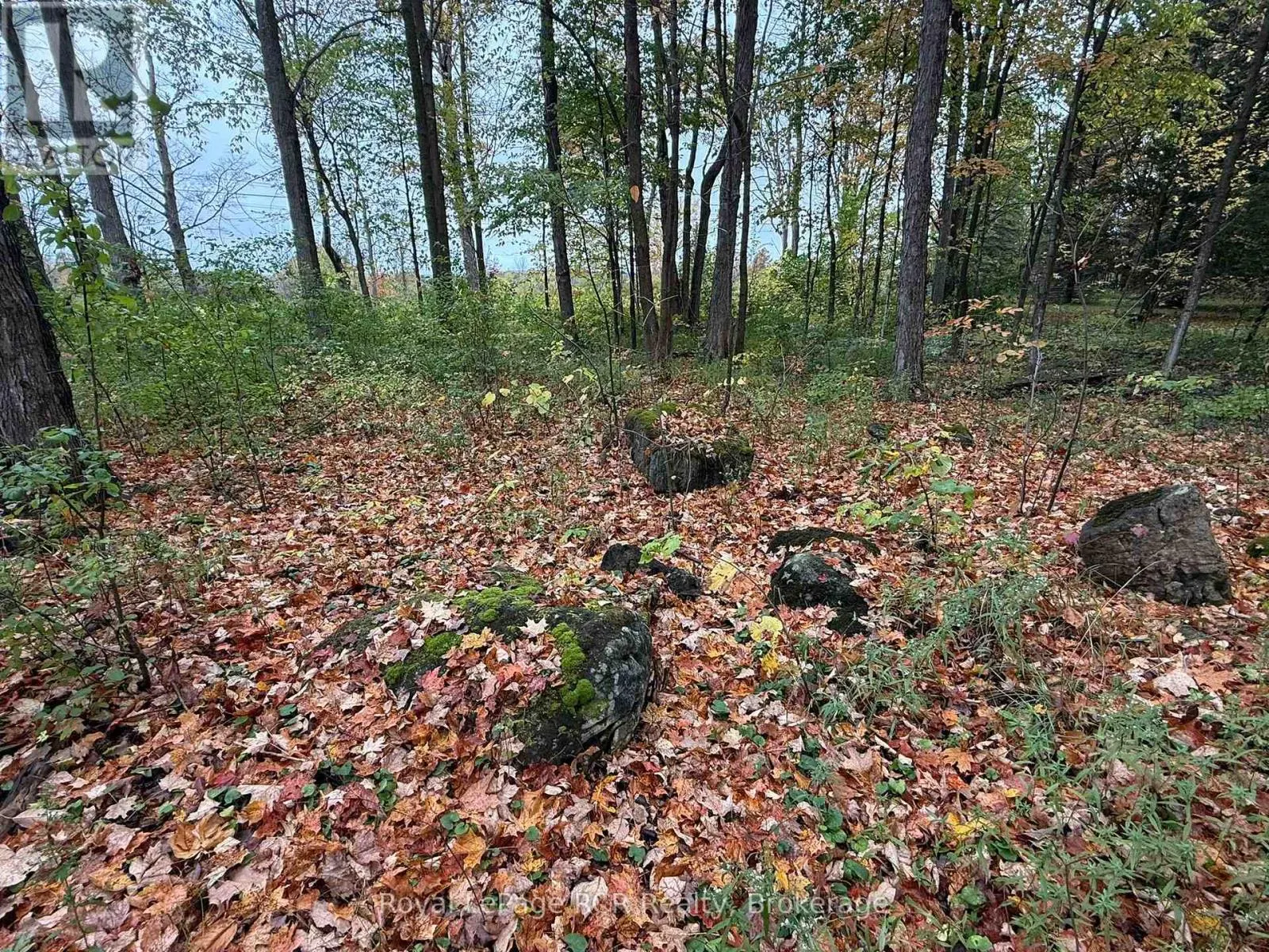 LOT 8 GREEN ACRES ROAD