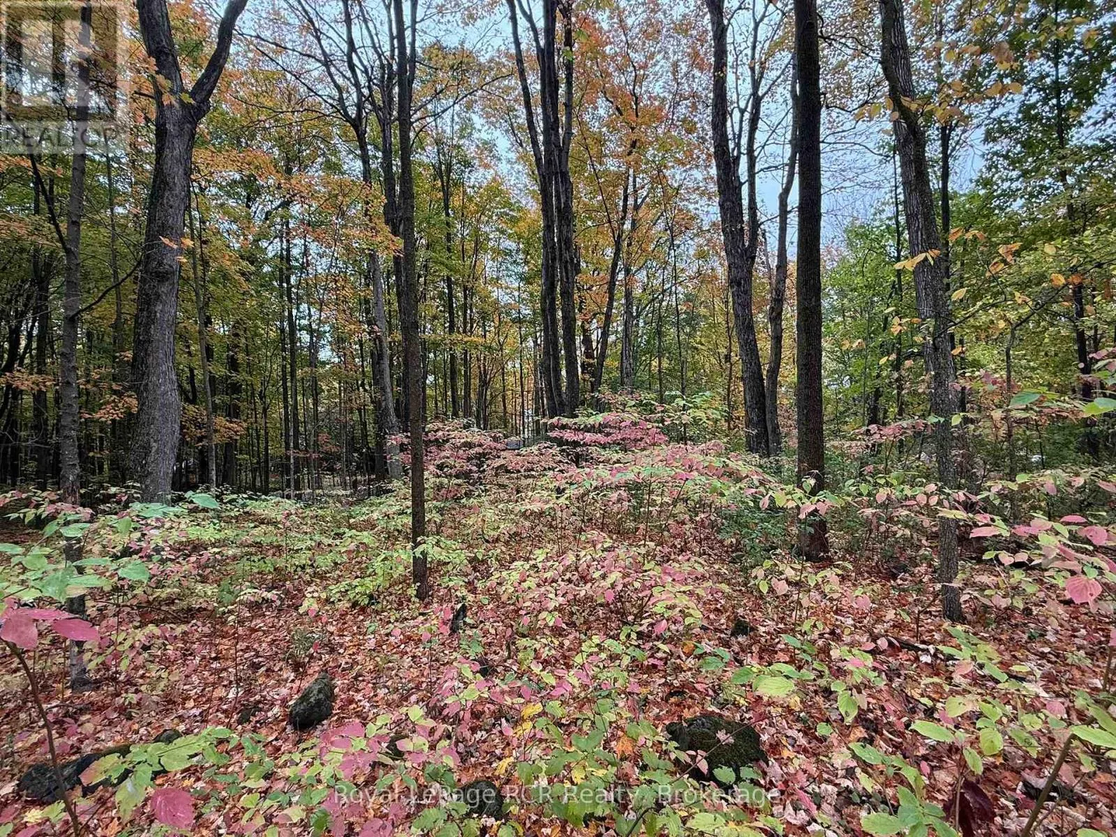 LOT 8 GREEN ACRES ROAD