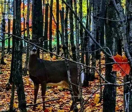 307 - 12 BIGWIN ISLAND ISLAND, #307