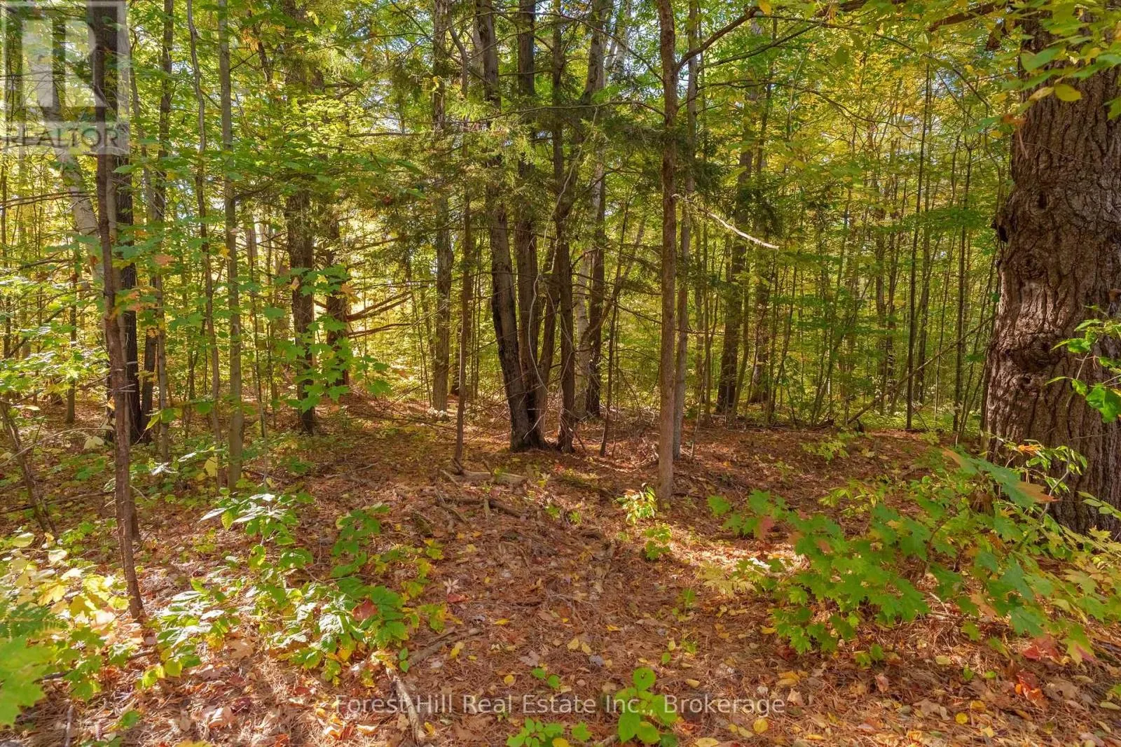 3864 HIGHWAY 118 W