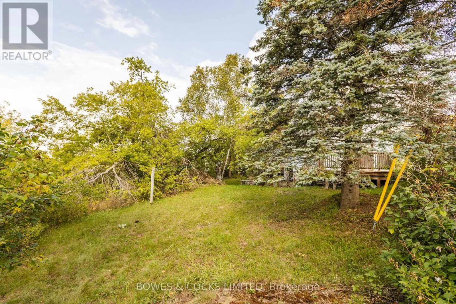 19 JAKEMAN STREET