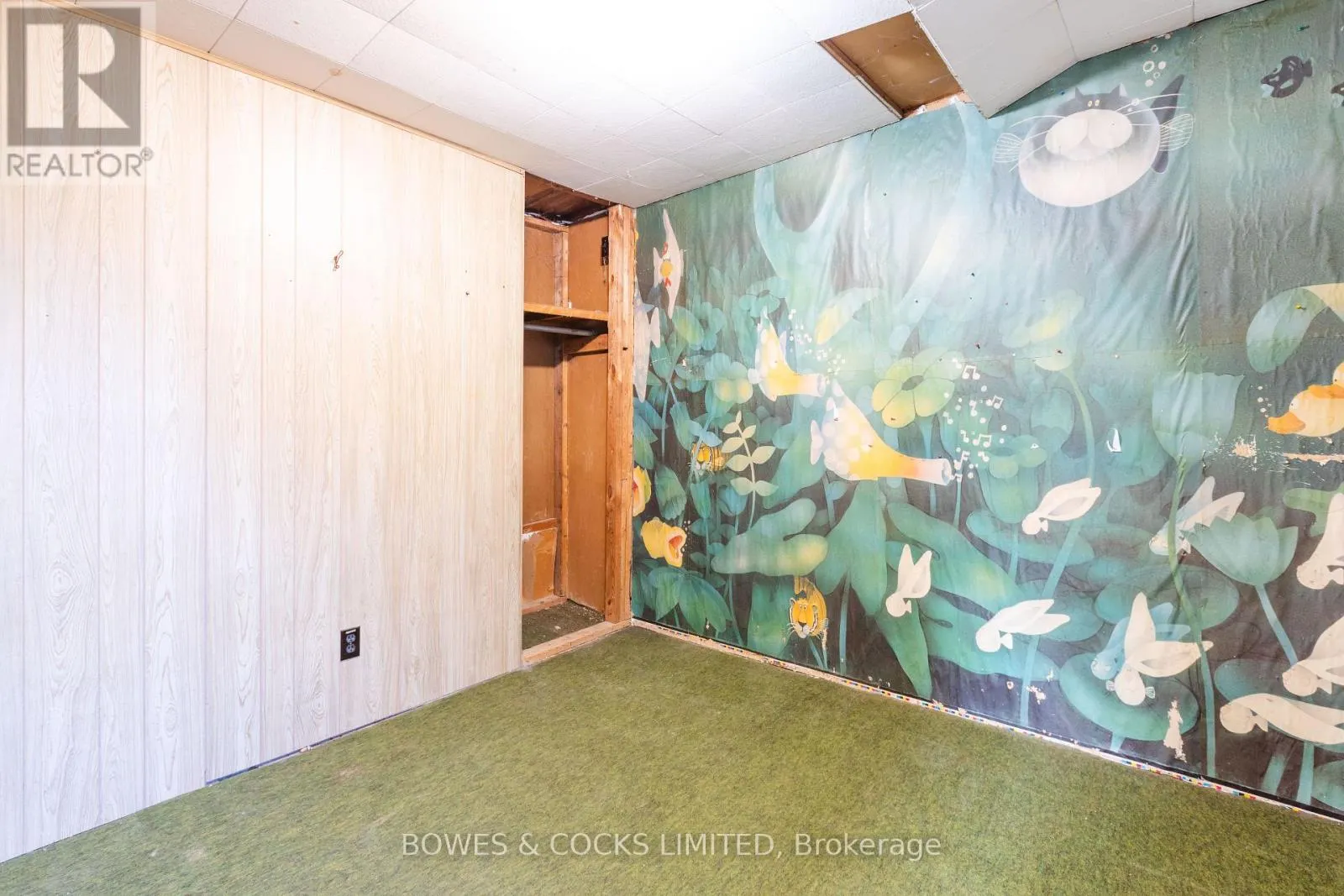 19 JAKEMAN STREET