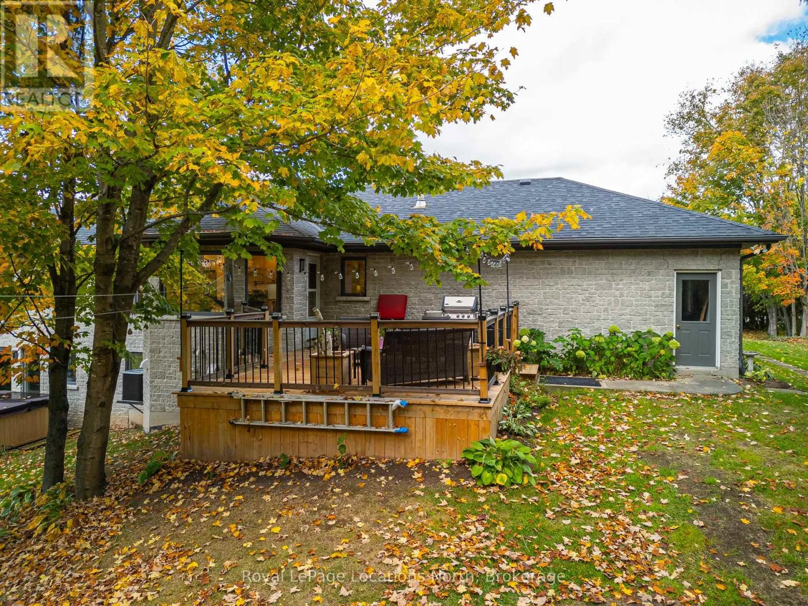 103478 GREY 18 ROAD