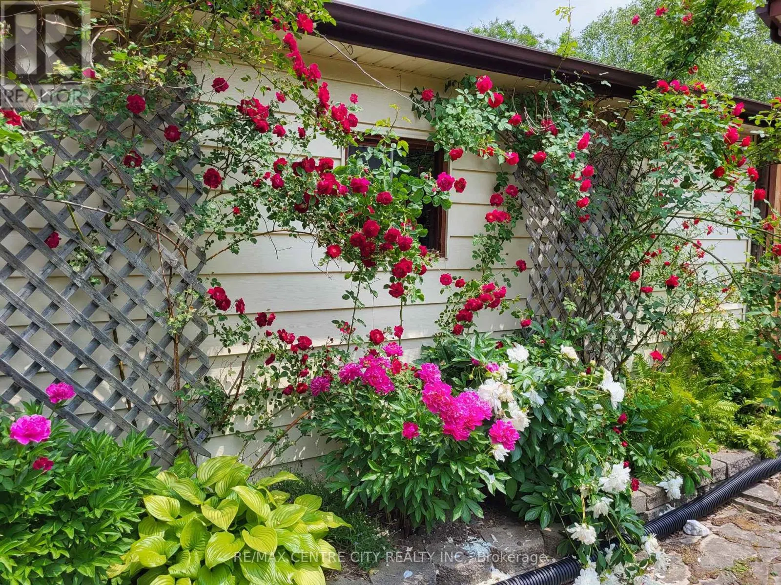 108 CECILIA PLACE