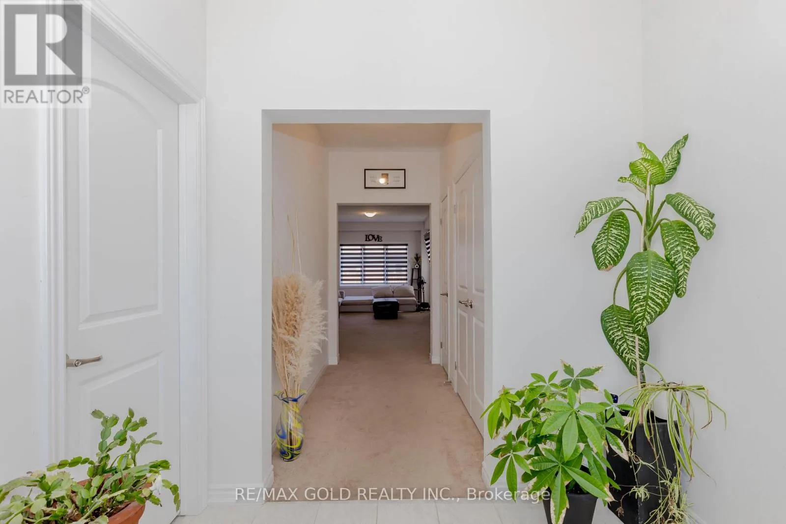 55 SCENIC RIDGE GATE