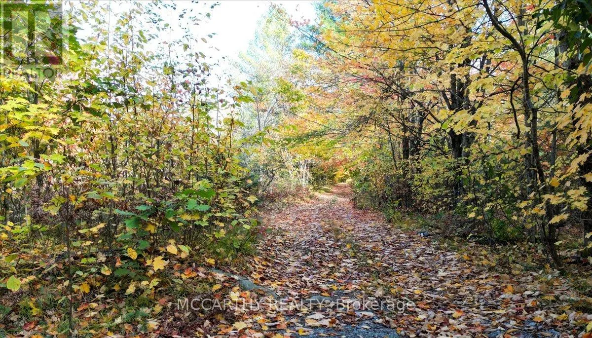 3649 COUNTY 504 ROAD