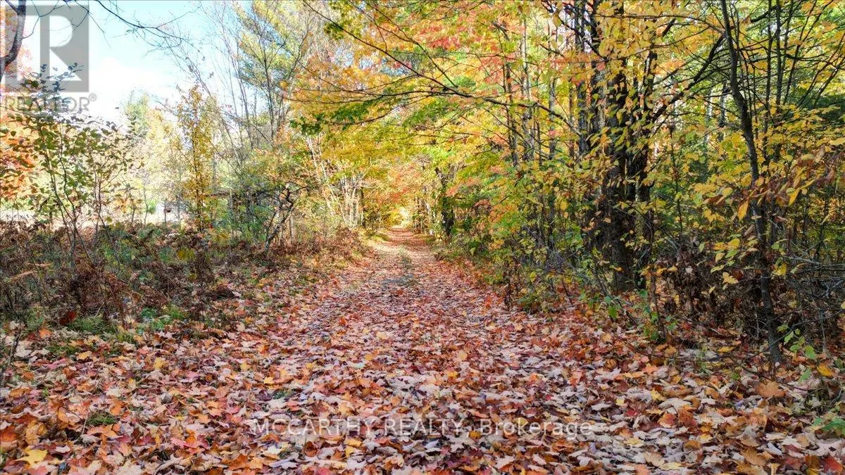 3649 COUNTY 504 ROAD