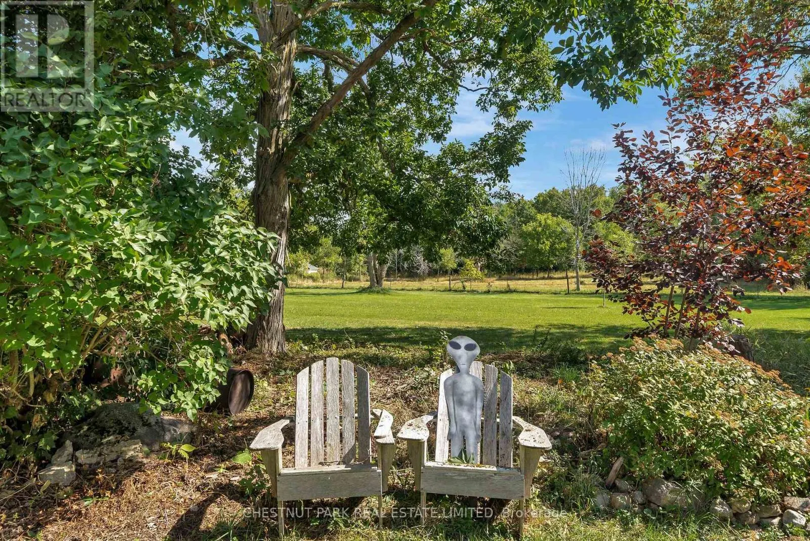 1309 COUNTY RD 3