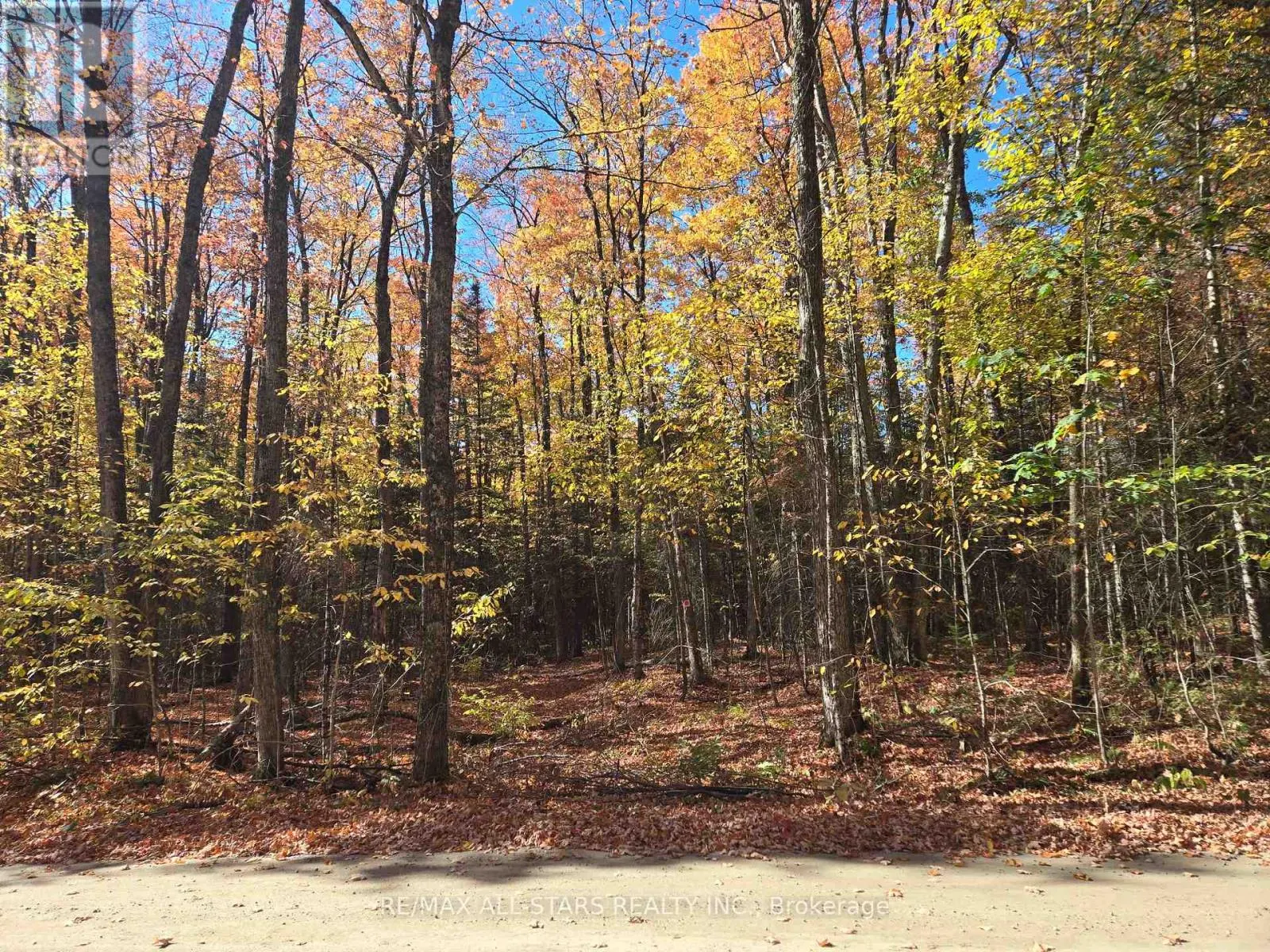 0 SALERNO LAKE ROAD
