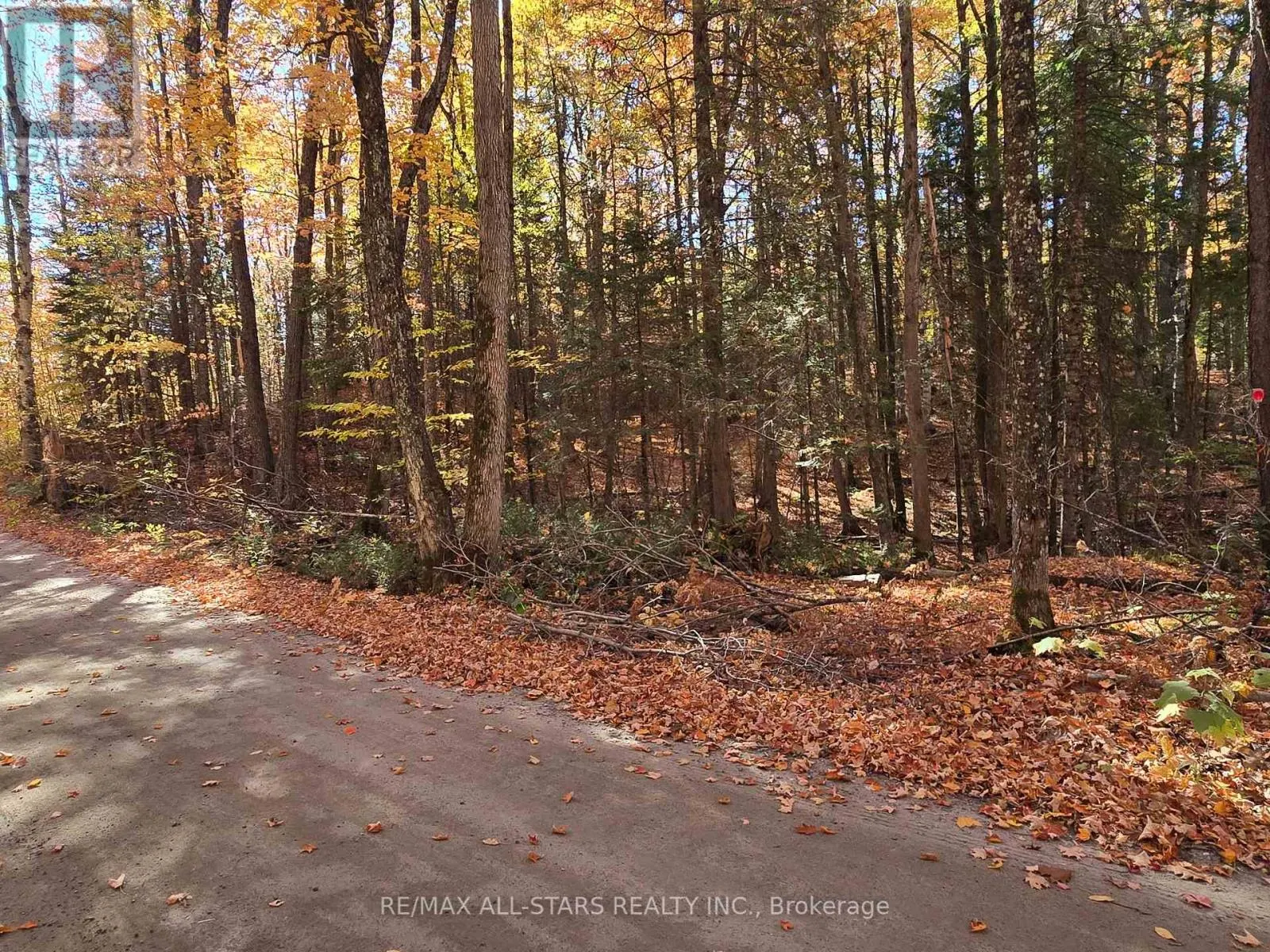 0 SALERNO LAKE ROAD