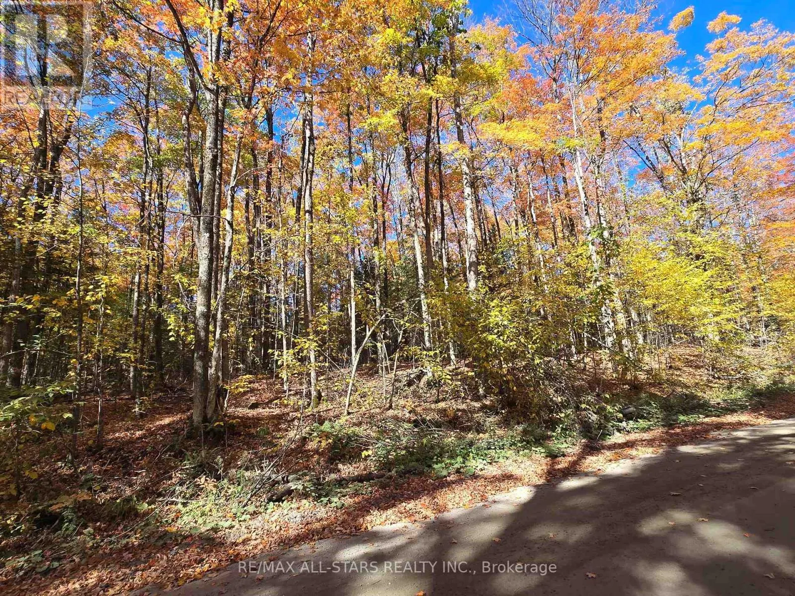0 SALERNO LAKE ROAD