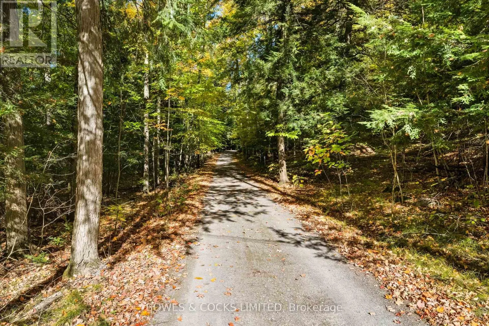 511 CONCESSION ROAD 12 E