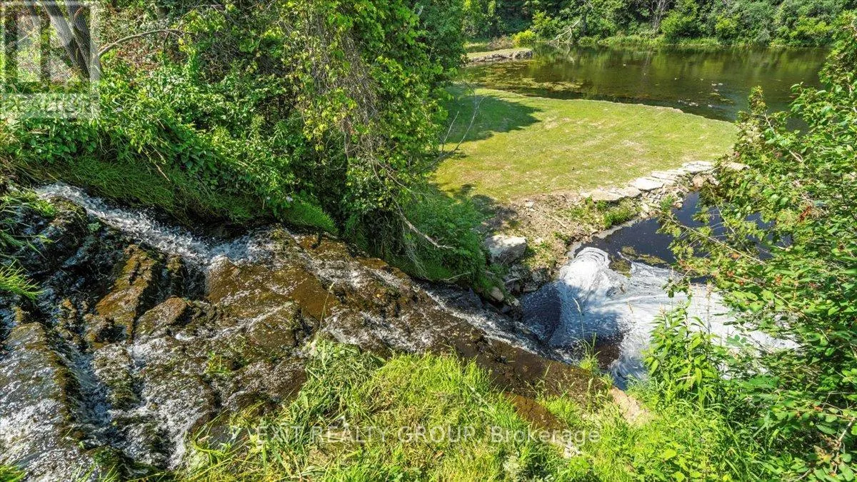782 COUNTY ROAD 49
