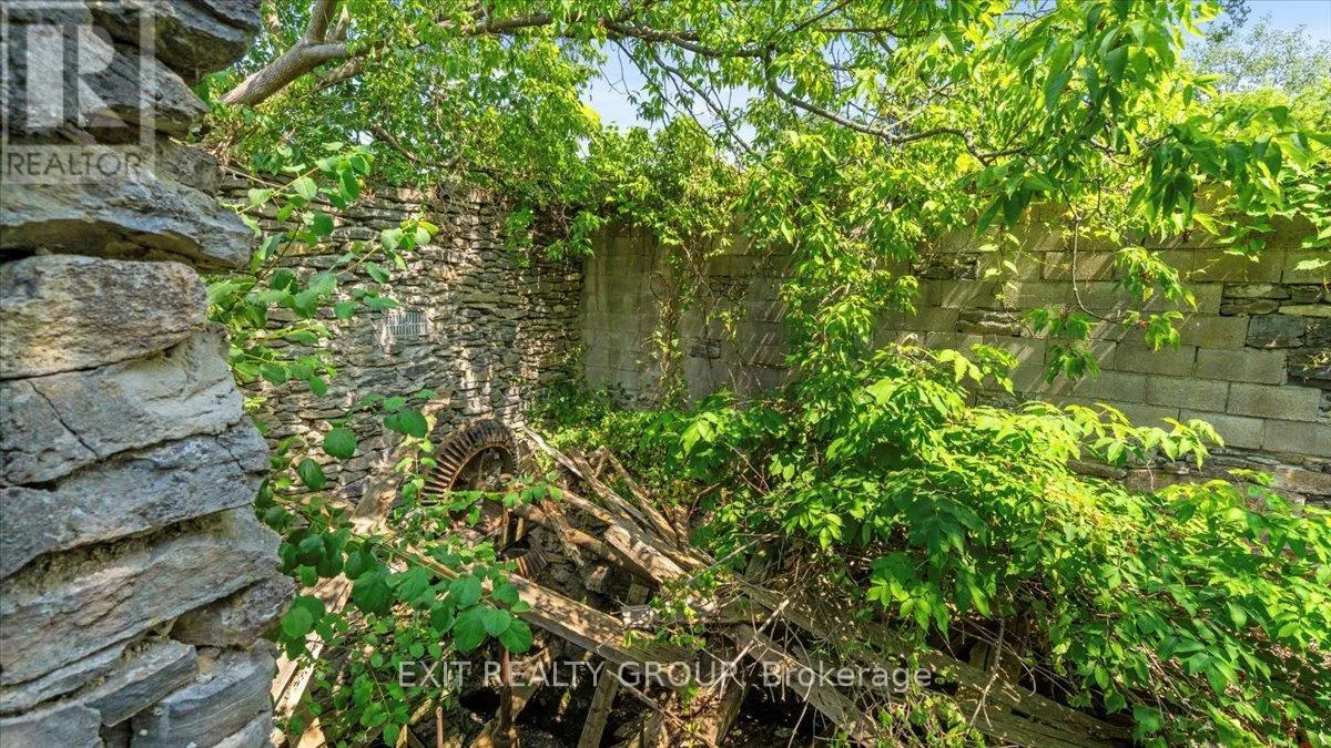 782 COUNTY ROAD 49