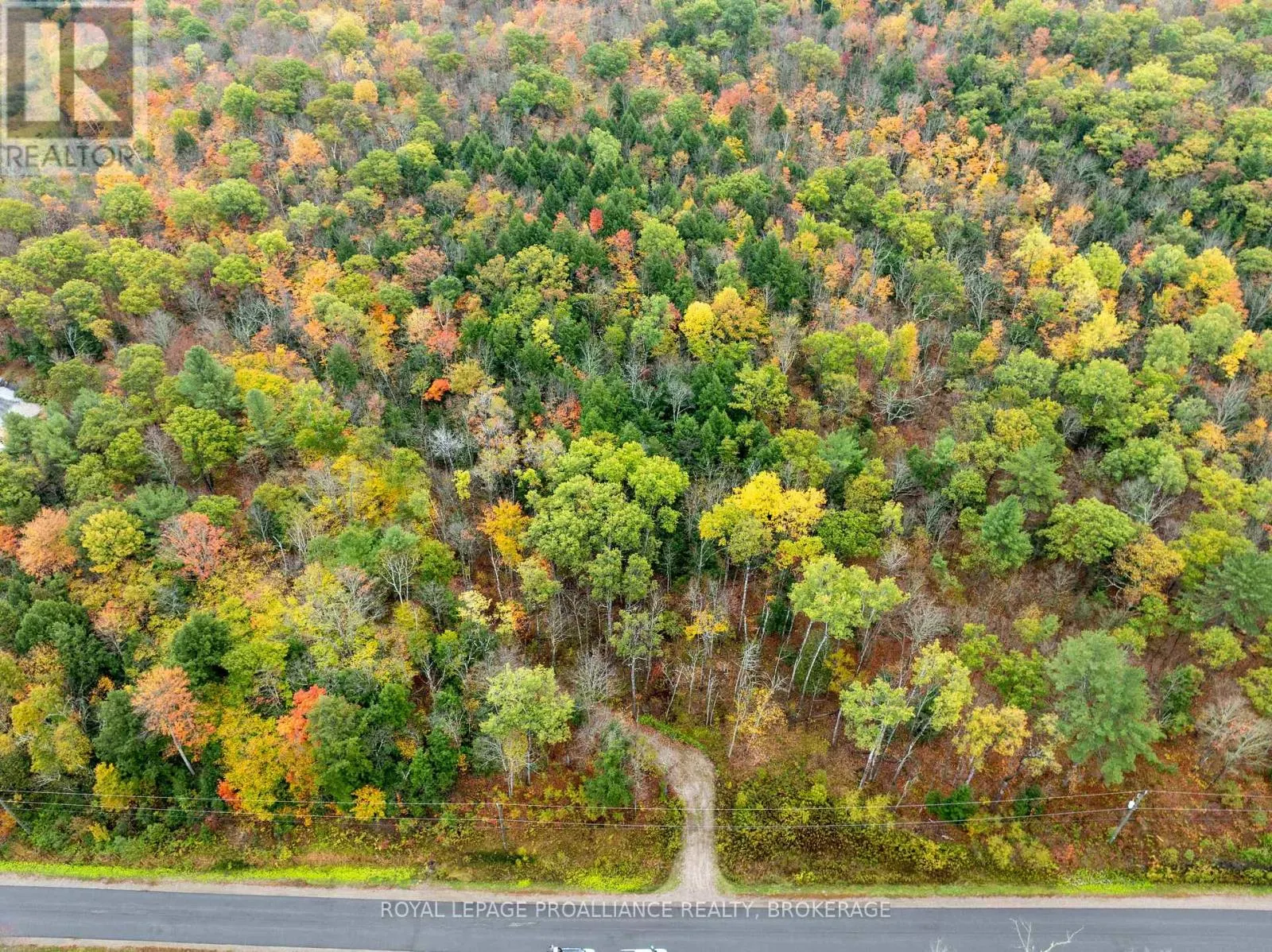 1060 NORDIC ROAD