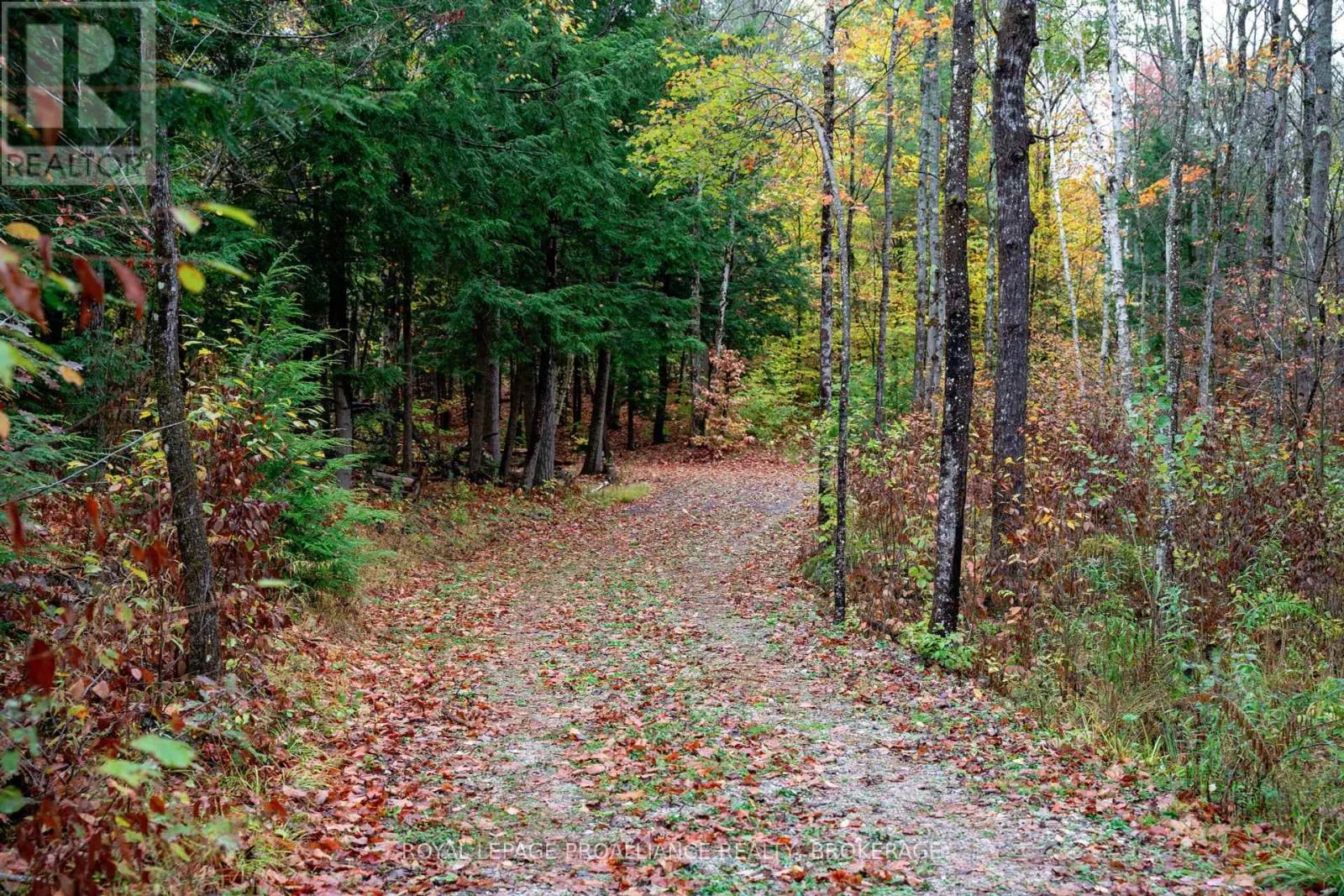 1060 NORDIC ROAD